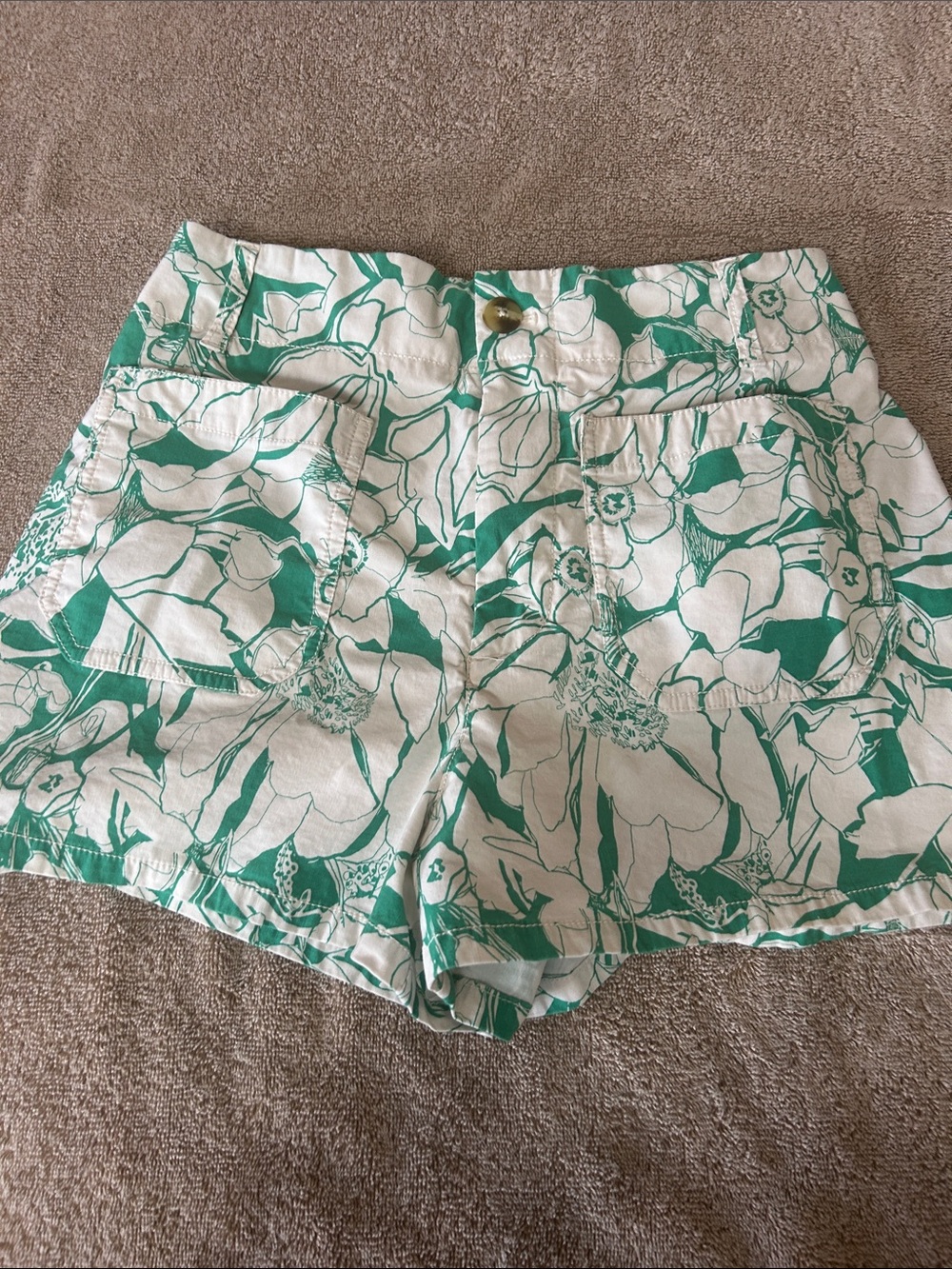 Women’s size 30 waist Anthropologie Green and White Floral High-Waist Shorts